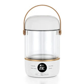 110V220V Smart Electric Stew Cooker Personal Portable Electric Stew Pot Adomoo