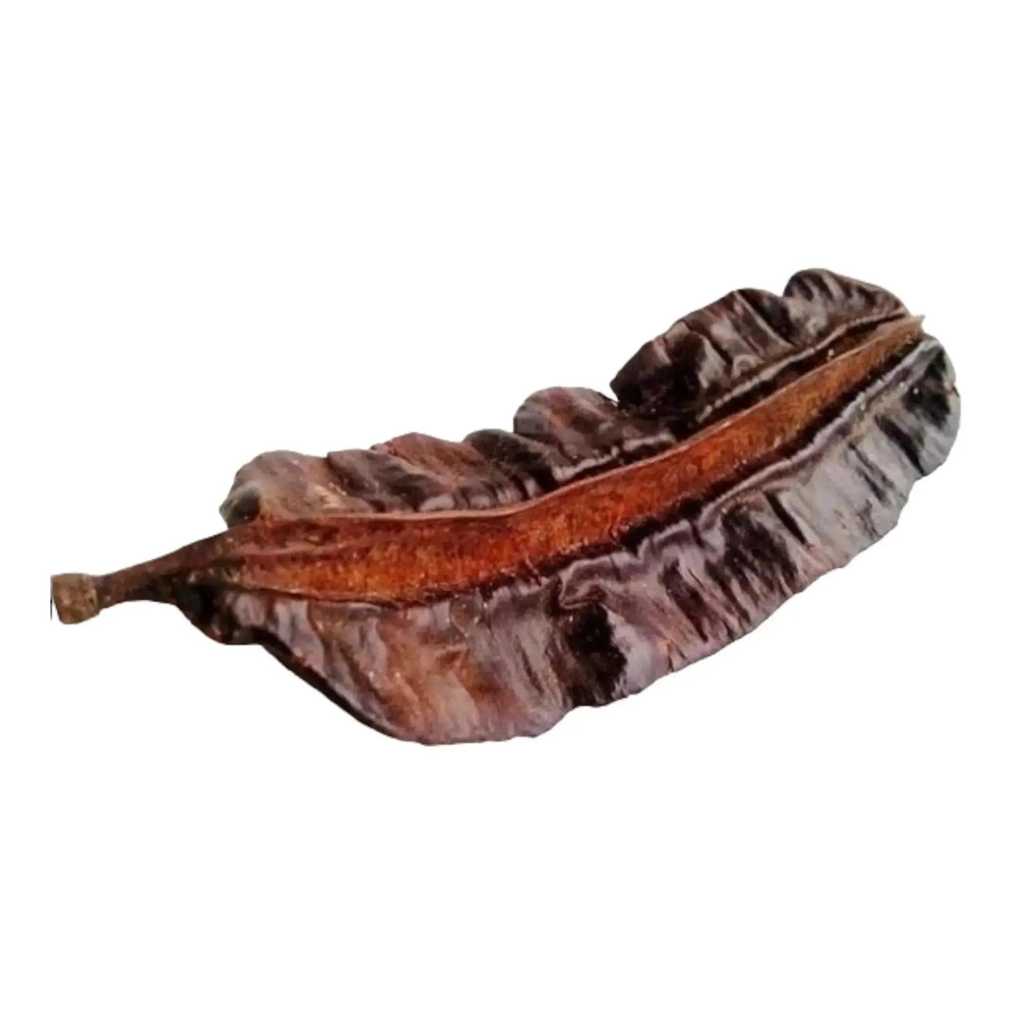 5 Fresh Ghana PREKESE PODS (Tetrapleura Tetraptera,Uhio,Aidan,Uyayak,Oshosho) UK  Adomoo