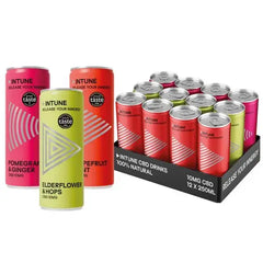 INTUNE CBD Mixed Pack CBD Drink 12 x 250ml Cans  Adomoo