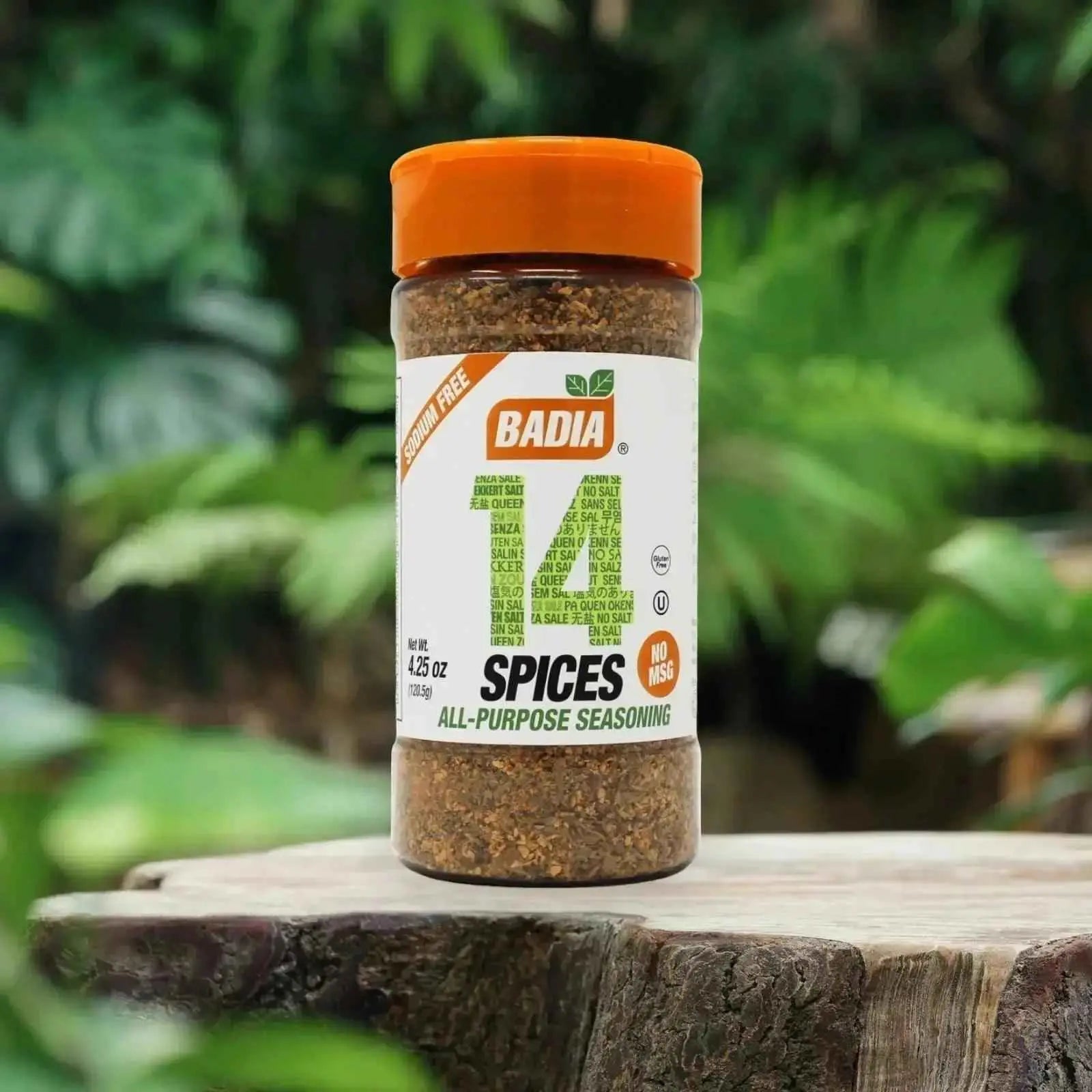 Badia All Purpose 14 Spices 120.5g  Adomoo