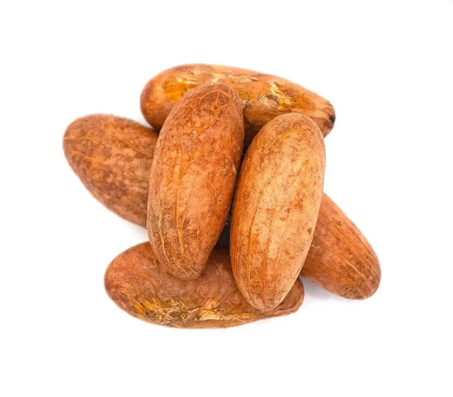 Bitter Kola Nut (Cola Nuts) Fresh Garcinia Kola Approx 4 Pieces  Adomoo