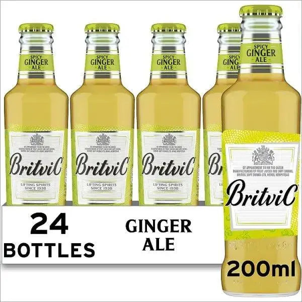 Britvic Spicy Ginger Ale Bottle 200ml (Case of 24)  Adomoo