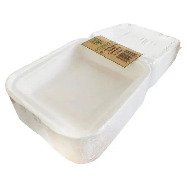 Edenware Bagasse Square Lunch Box Outer Carton 8in x 8in  Adomoo