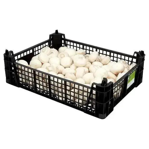 Farm Fresh Mushrooms 1.81kg Adomoo