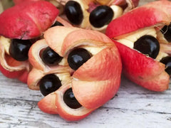 Tropical Sun Jamaica Ackee (540g)  Adomoo