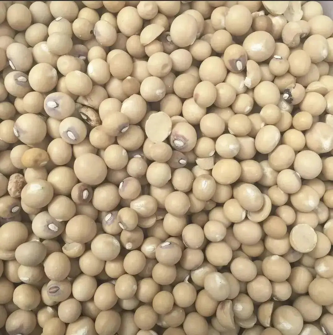 WHOLE OKPA SEEDS - Bambara Beans 1kg  Adomoo
