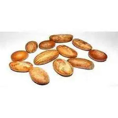 Bitter Kola Nut (Cola Nuts) Fresh Garcinia Kola Approx 4 Pieces  Adomoo