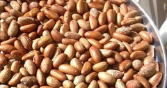 Bitter Kola Nut (Cola Nuts) Fresh Garcinia Kola Approx 4 Pieces  Adomoo