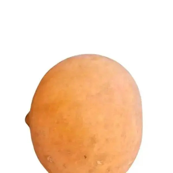 Hemispherical Calabash bowl 18 cm Round Half  Adomoo