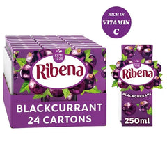 Ribena Blackcurrant Juice Drink Carton 250ml (Case of 24)