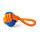 Pet Toys and Accessories