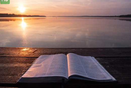You are a Bible to many people