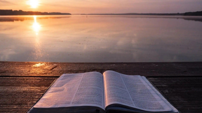 You are a Bible to many people