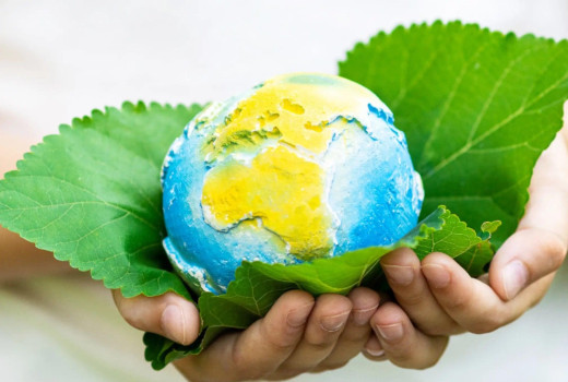 Embracing Sustainability: Paving the Way Towards a Greener World