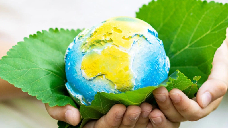 Embracing Sustainability: Paving the Way Towards a Greener World