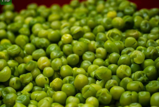 The pea aubergine