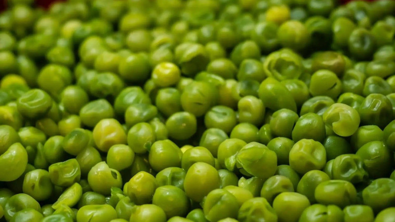 The pea aubergine