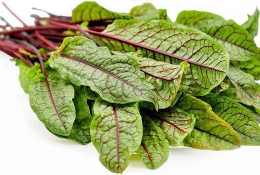 Surprising Benefits Of Sorrel Leaves