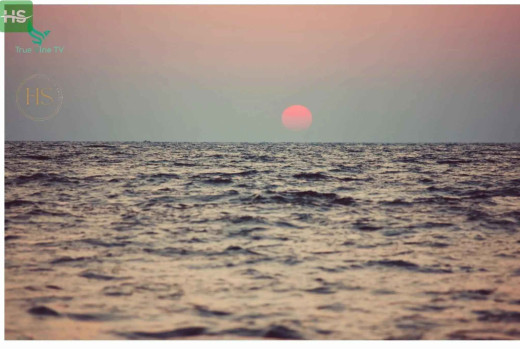 The Beauty Of The Sanctity of Nature