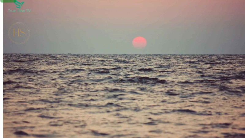 The Beauty Of The Sanctity of Nature