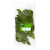 Fresh Herbs & Spices
