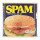 Other Tinned Meat Retail