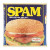 Other Tinned Meat Retail