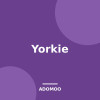 Yorkie