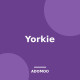 Yorkie