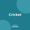 Cricket
