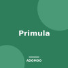 Primula