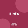 Bird's