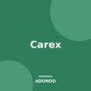 Carex