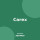 Carex