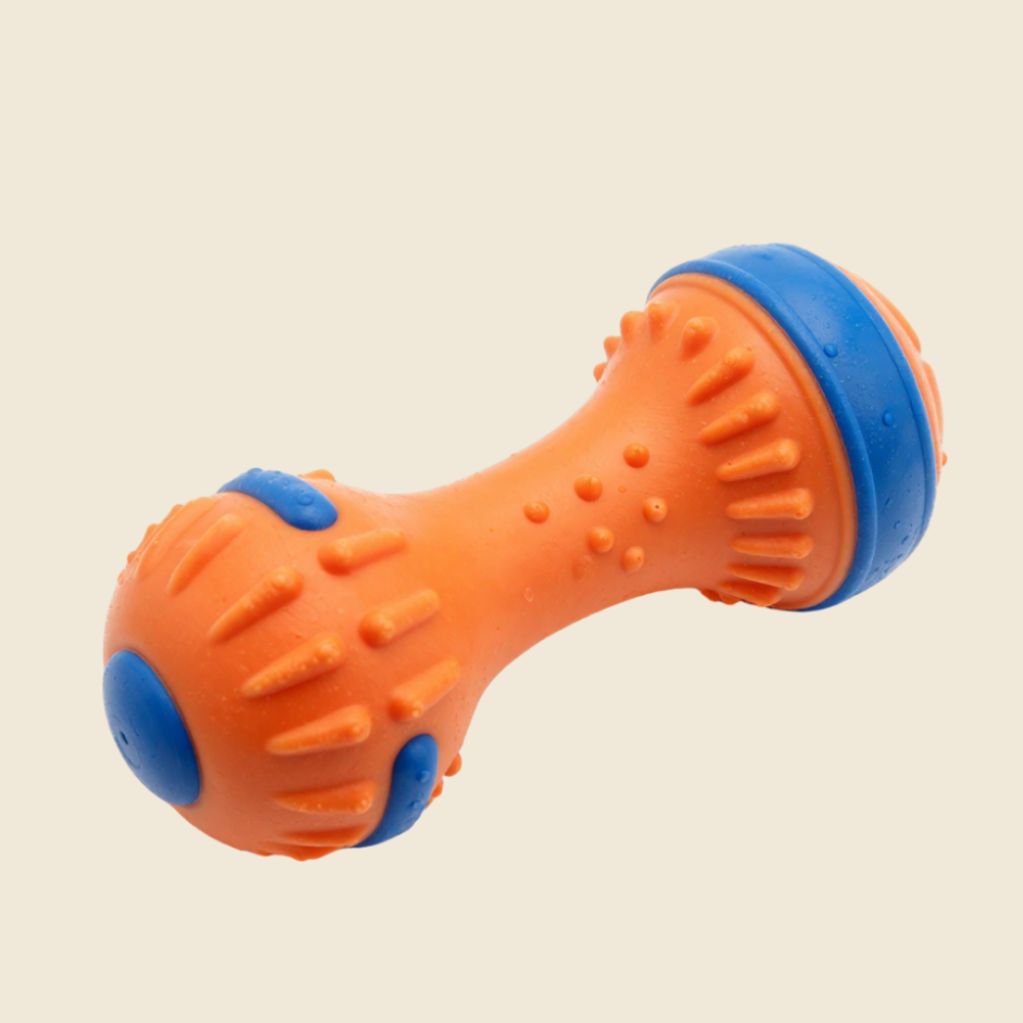 Pet Toys and Accessories