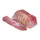 Fresh Pork