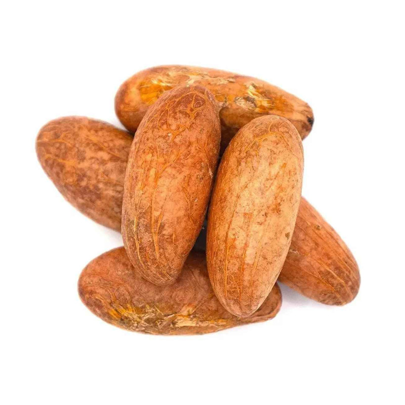 Bitter Kola Nut (Cola Nuts) Fresh Garcinia Kola Approx 4 Pieces