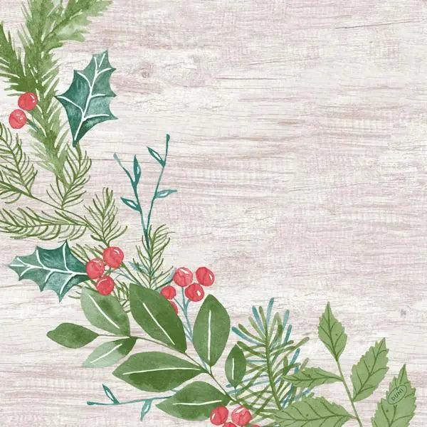 Duni Winter Green 40cm Dunisoft Napkin Duni Winter Green 40cm Dunisoft Napkin