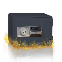 Freestanding Electronic Fire safe