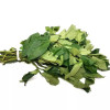 Fresh Ugu x 1 bunch