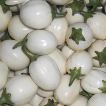 Garden Eggs From Ghana 1kg Garden Eggs From Ghana 1kg