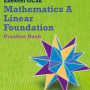 GCSE Mathematics Edexcel 2010 : Spec A Foundation Practice Book - GCSE Maths Edexcel 2010 (Paperback)