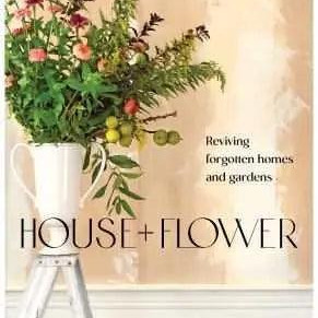 House  Flower by Cynthia Zamaria