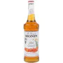 Monin Salted Caramel