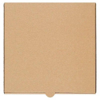Viva 9inch Brown Pizza Boxes 100 Pack