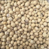 WHOLE OKPA SEEDS - Bambara Beans 1kg
