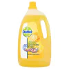 Dettol Anti-Bacterial Multi Action Cleaner Complete Clean Citrus Zest 4L (1 x 4ltr)