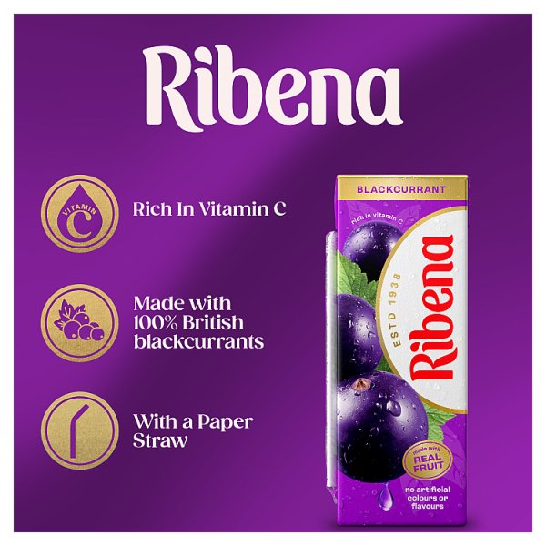 Ribena Blackcurrant Juice Drink Carton 250ml (24 x 250ml)