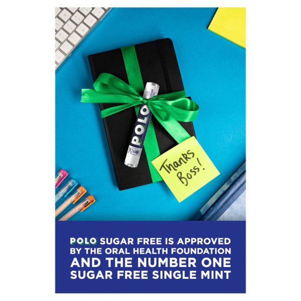 Polo Sugar Free Mint Tube 33.4g (32 x 33.4g)