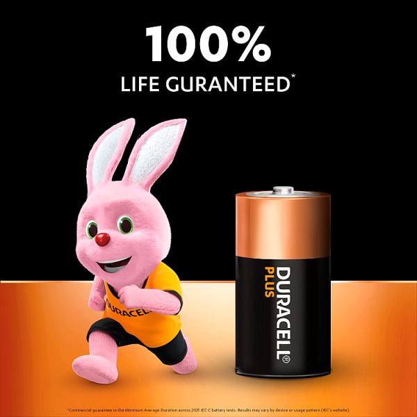 Duracell Plus 100% C 2pk (10 x 2pk)